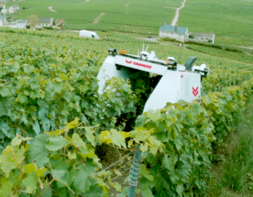 Yanmar Autonomous Vineyard Robot